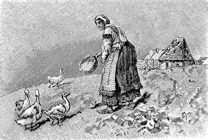 Farmer's wife in Bulgaria feeding the geese