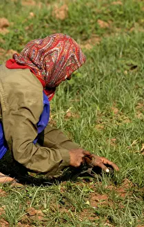 Farmers at Work, Kutch, Gujarat, India