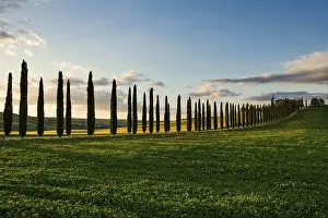 Farmhouse and cypresses, San Quirico d'Orcia