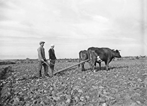 Farming in the 1930s