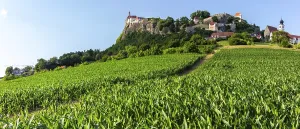 Farmland, Riegersburg, Riegersburg