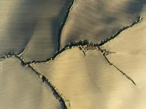 Farmland with tractor wheel ruts and streams with riverine vegetation in the Campina Cordobesa