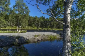 Fascinating natural landscape in Golsfjellet in the summertime in Norway