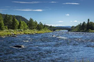 Fascinating natural landscape in Golsfjellet in the summertime in Norway