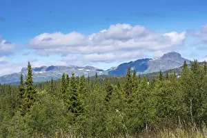 Fascinating natural landscape in Jotunheimen in the summertime in Norway