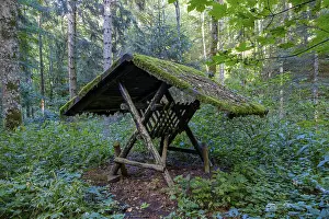 Empty feeding trough, used for winter feeding