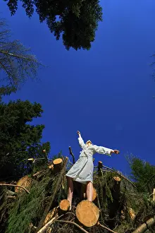 Feeling ease standing on pile of wood in Waakirchen