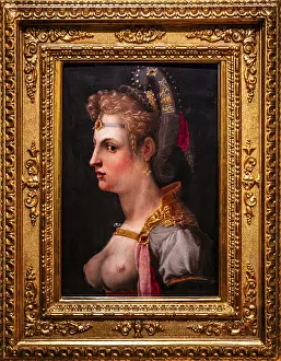 Female bust - Venus Victrix, Michele di Jacopo Tosini