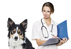 Female vet with a beautiful dog - isolated over a white background