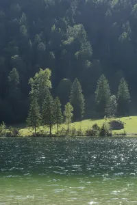 Ferchensee near Mittenwald, bathing