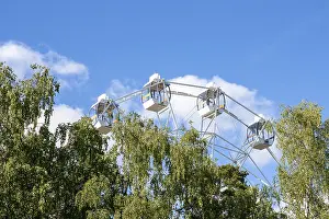 Ferris wheel over the treetops in the park