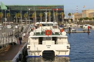 Ferry and sailing yachts in marina