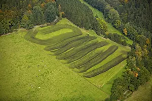 Fertilised field, Birmecke manure field