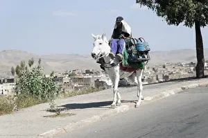 Fes, person riding on a donkey loaded with backpacks
