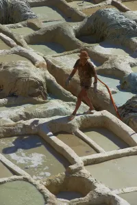 Fes, Traditional Tanneries with Dyeing Tubs