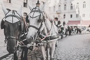 Fiaker, fiacre, hackney coach, cab drawn by two horses in Vienna