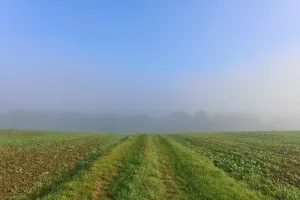 Fields under a clear sky with fog in the background