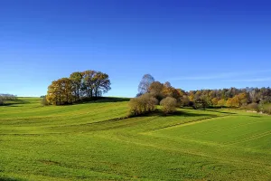 Fields and woods near Dopshofen