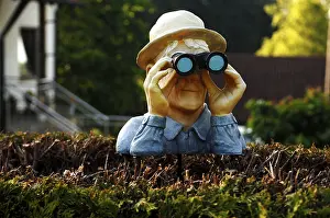 Figure with binoculars looking over a hedge