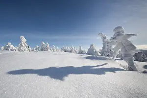 Figure with shadow, winter on Mt Brocken in the Harz