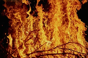 Fire, burning dry trees, Germany, Europe