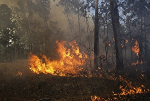 Fire in Kakadu National Park, Northern Territory