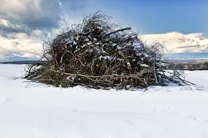 Firewood, brushwood, pile in the snow