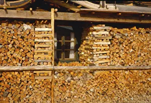 Firewood, storage in the forest
