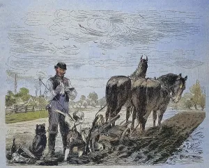 First attempt of the farmer's boy to plough the field with the horse and cart and the plough