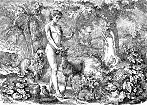 First Book of Genesis, chapter 1