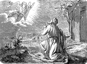 First Book of Genesis, Chapter 15