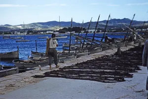 Fischerboote und Nest am Kai im Hafen von Calvi, Korsika, Frankreich, Ende der 1950er Jahre