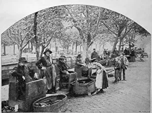 Fish market on the canal in Potsdam
