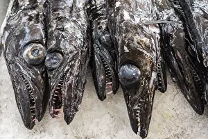 Fish market, Funchal, Madeira, Portugal, Europe