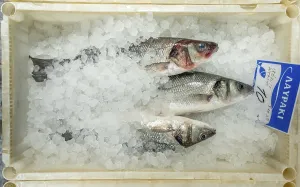 Fish shop in the streets of Rethimnon