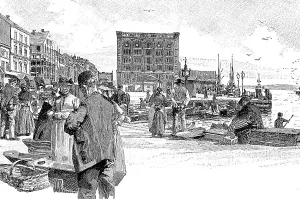 Fisheries, the fresh fish market