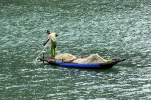 A fisherman pulls a large net from a small boat onto the water