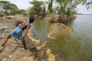 Category Historic EN Prints: Fisherman throwing net in pond