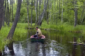 Fisherman on tributary of the Krutyna