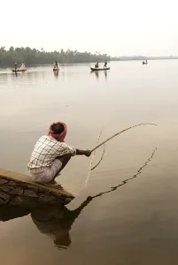 Fishing on backwaters of Cherai, Kerala, India