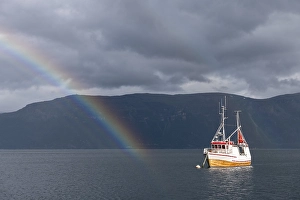 Category Scandinavia Prints: Fishing boat in fjord with rainbow