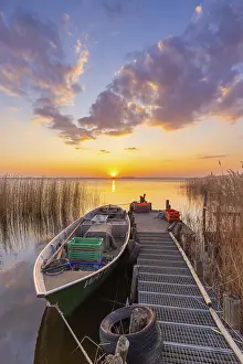 Fishing boat, rowboat along reed bed at sunset near Warthe