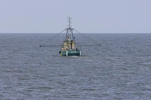 Fishing boat trawls the North Sea for shrimp