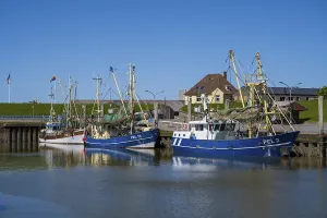 Fishing boats in the harbour of Tammensiel