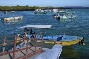 Fishing boats in the natural harbour basin