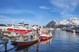 Category Scandinavia Prints: Fishing boats in the port of Henningsvaer