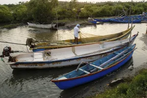 Fishing boats in sea near Pichavaram mangrove forest