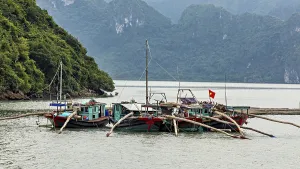 Fishing boats with Vietnamese flag resting on calm water