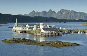 Fishing company in Svolvaer, Lofoten