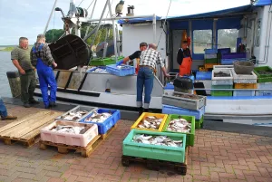 Fishing, fishing boat, fisherman